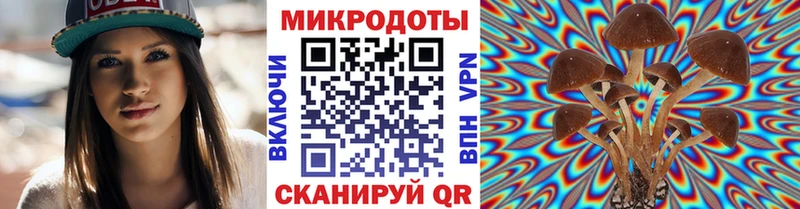 что такое   Кинешма  mega ссылки  Псилоцибиновые грибы ЛСД 